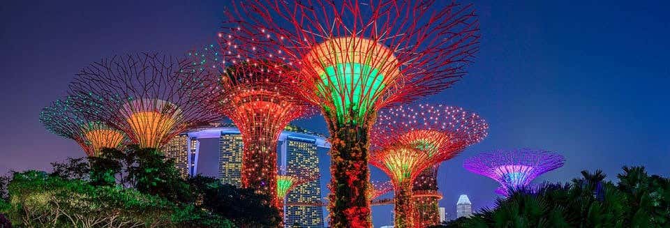 Tour di Singapore al tramonto + Spettacoli di luci e suoni + Crociera
