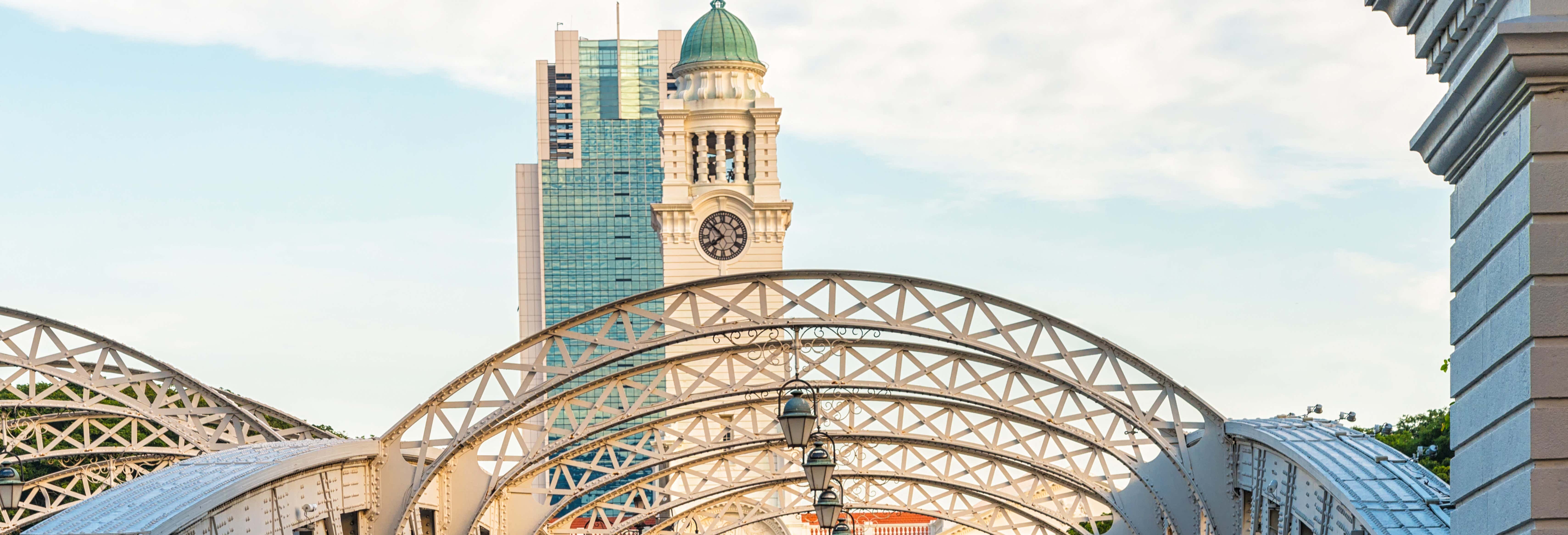 Scalo a Singapore? Tour privato dall'aeroporto