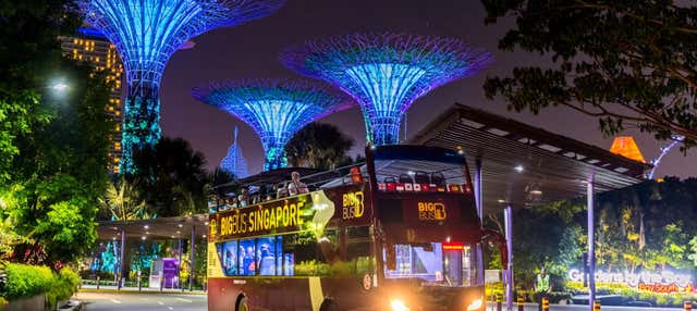 Tour serale in autobus decappottabile a Singapore