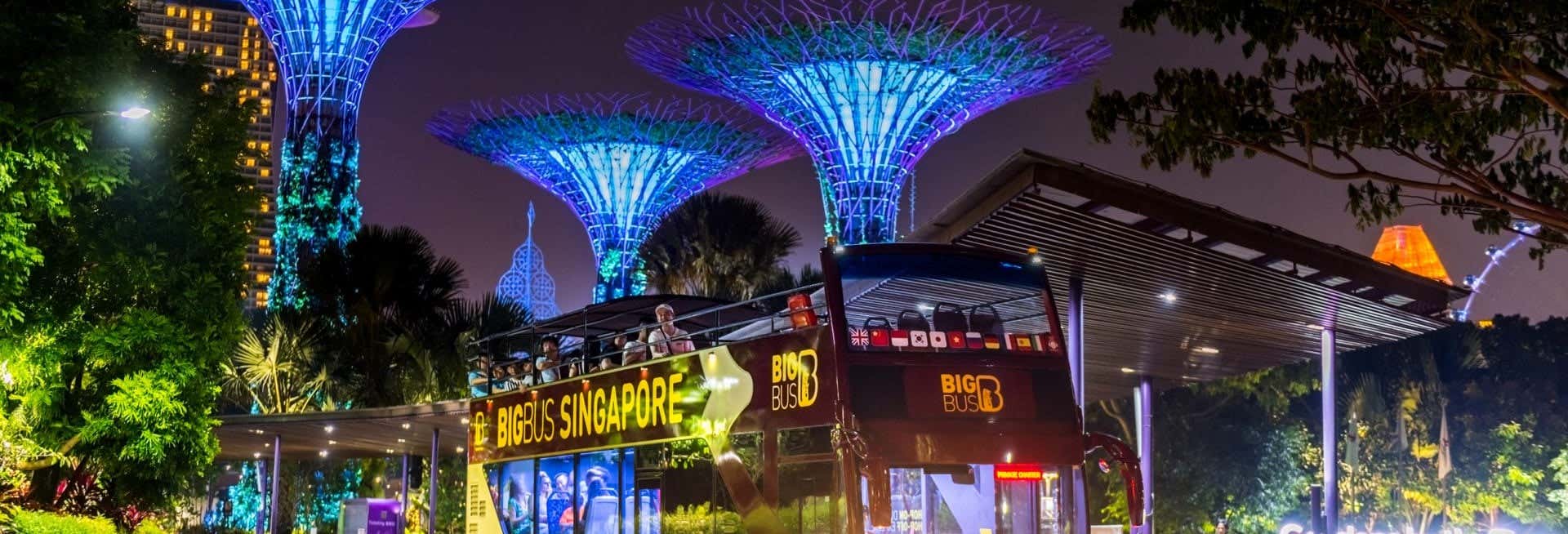 Singapore Open-Top Bus Evening Tour