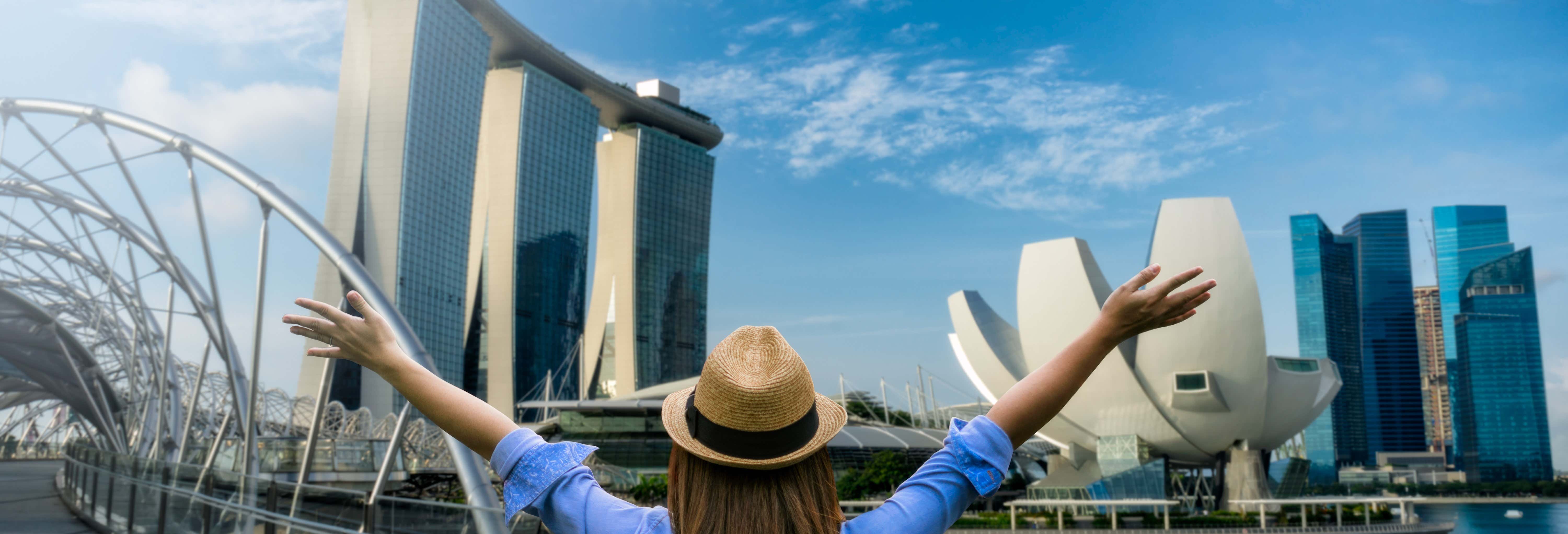 Tour privato di Singapore per croceristi