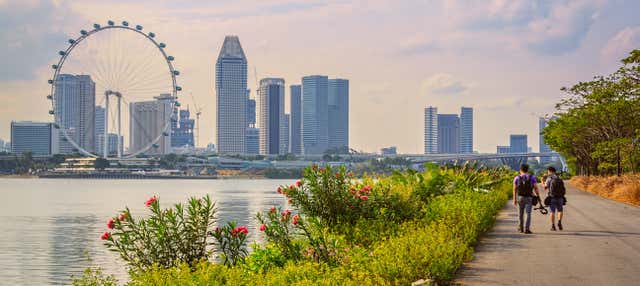 Tour privato di Singapore