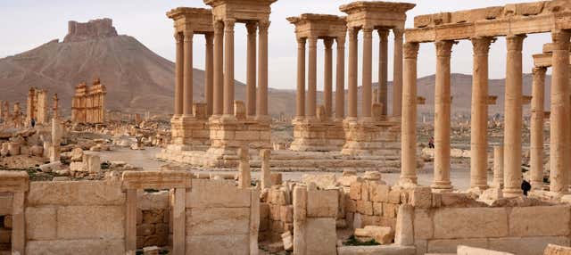 Circuito di 7 giorni in Siria