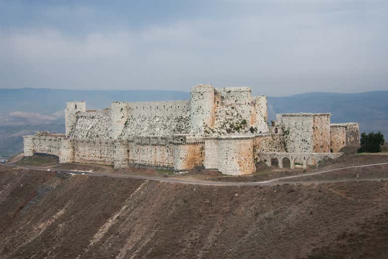 Imagen 5