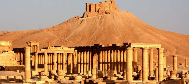 Tour di 5 giorni a Damasco, Palmira e Krak dei Cavalieri