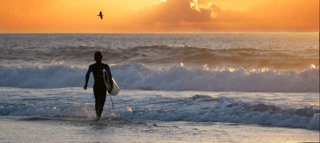 Corso di surf ad Arugam Bay