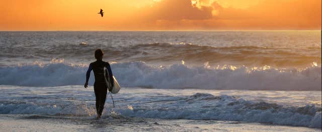 Cours de surf à Arugam Bay
