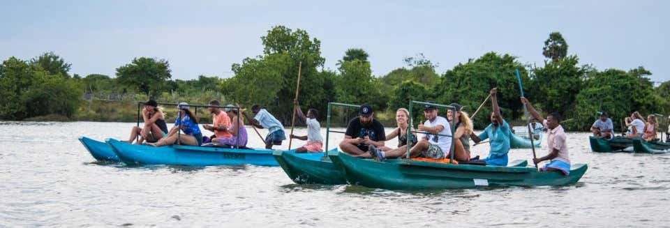 Pottuvil Lagoon Mangroves Private Boat Trip