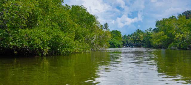 Escursione privata a Balapitiya + Allevamento di tartarughe di Kosgoda