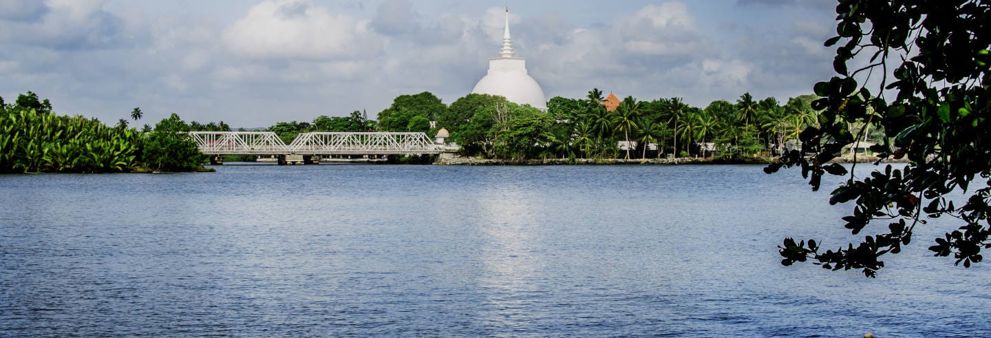 Kalutara Temple and Lunugaga Estate Private Tour