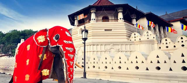 Noleggio auto con conducente a Colombo