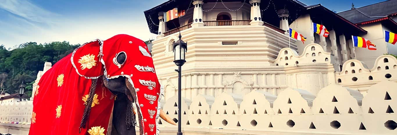 Noleggio auto con conducente a Colombo