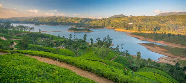 Tour privato di Nuwara Eliya in 2 giorni