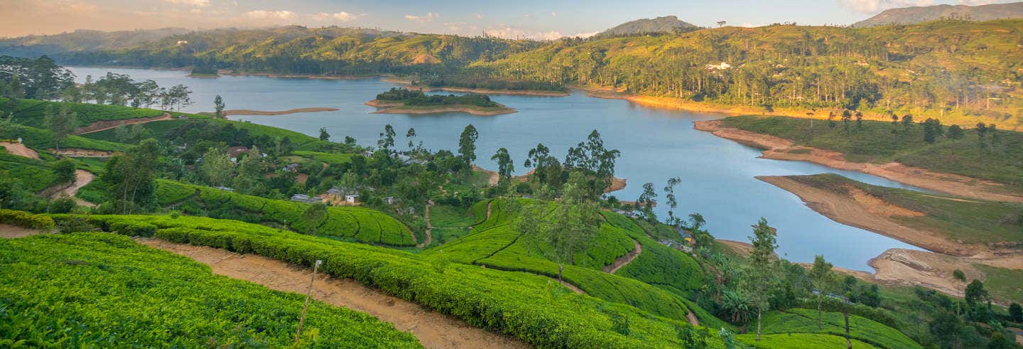 Tour privato di Nuwara Eliya in 2 giorni