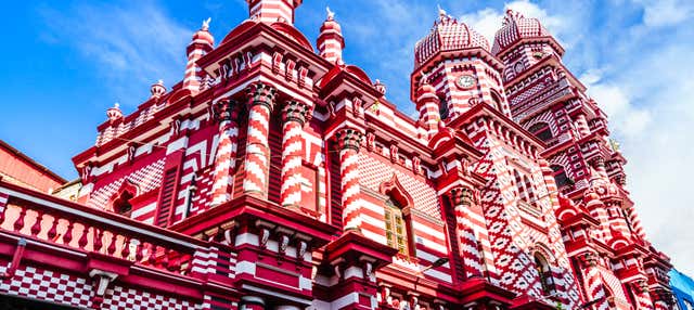 Visita guidata di Colombo