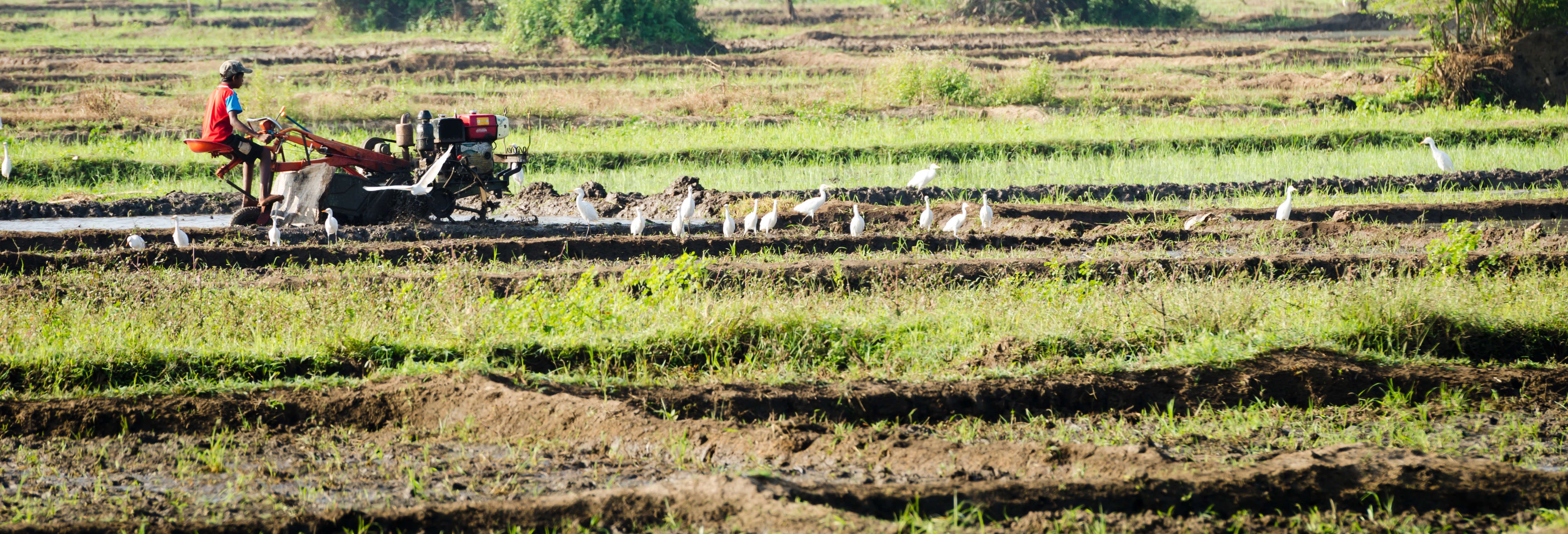 Habarana Day Trip