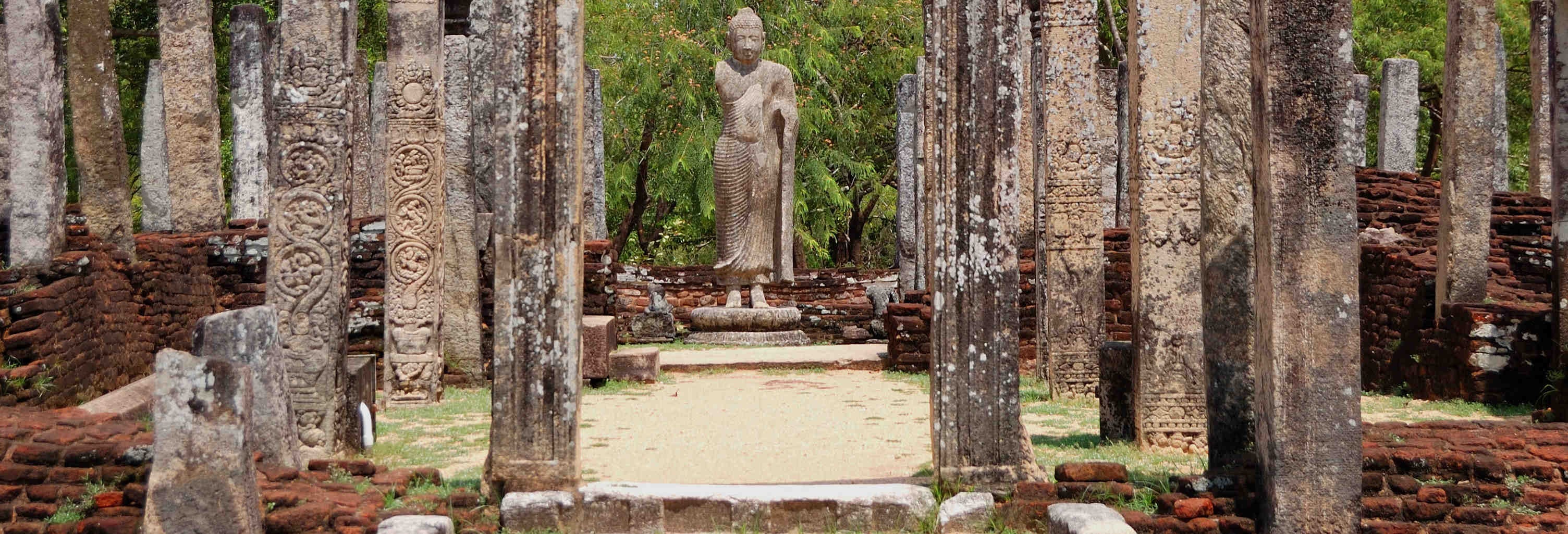 Polonnaruwa & Pidurangala Day Trip