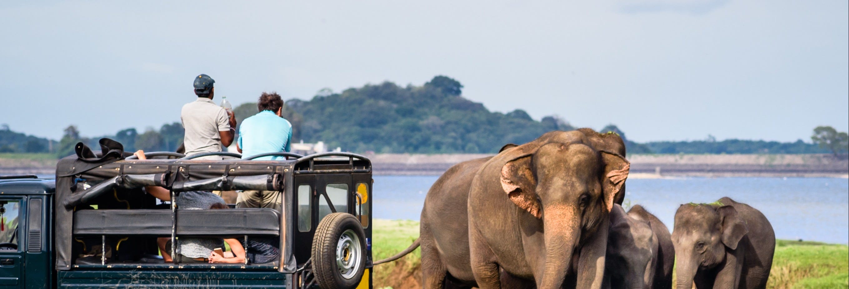 Yala National Park Safari