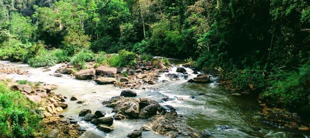 Escursione privata alla riserva di Sinharaja