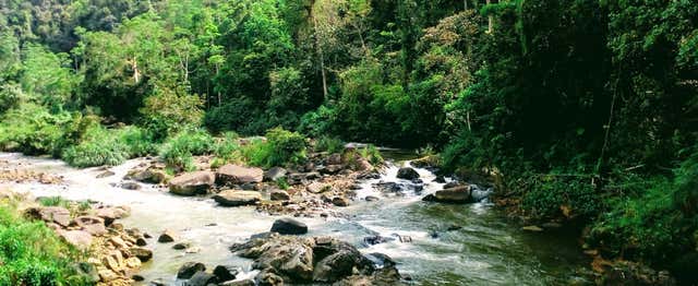 Excursion privée à la réserve de Sinharaja