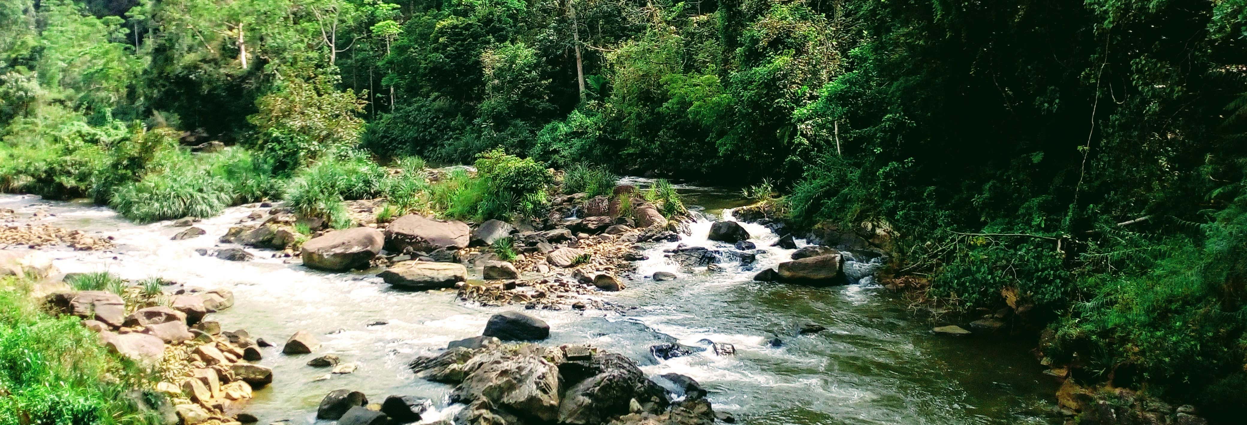 Escursione privata alla riserva di Sinharaja