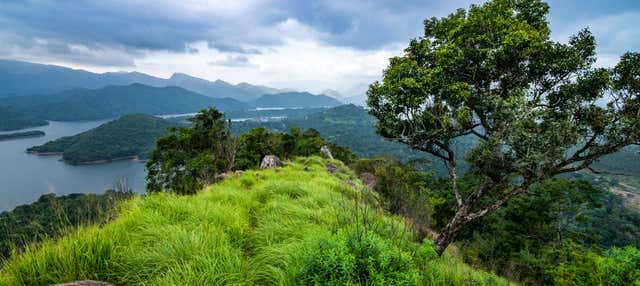 Itinerario privato di trekking nella cordigliera delle Knuckles