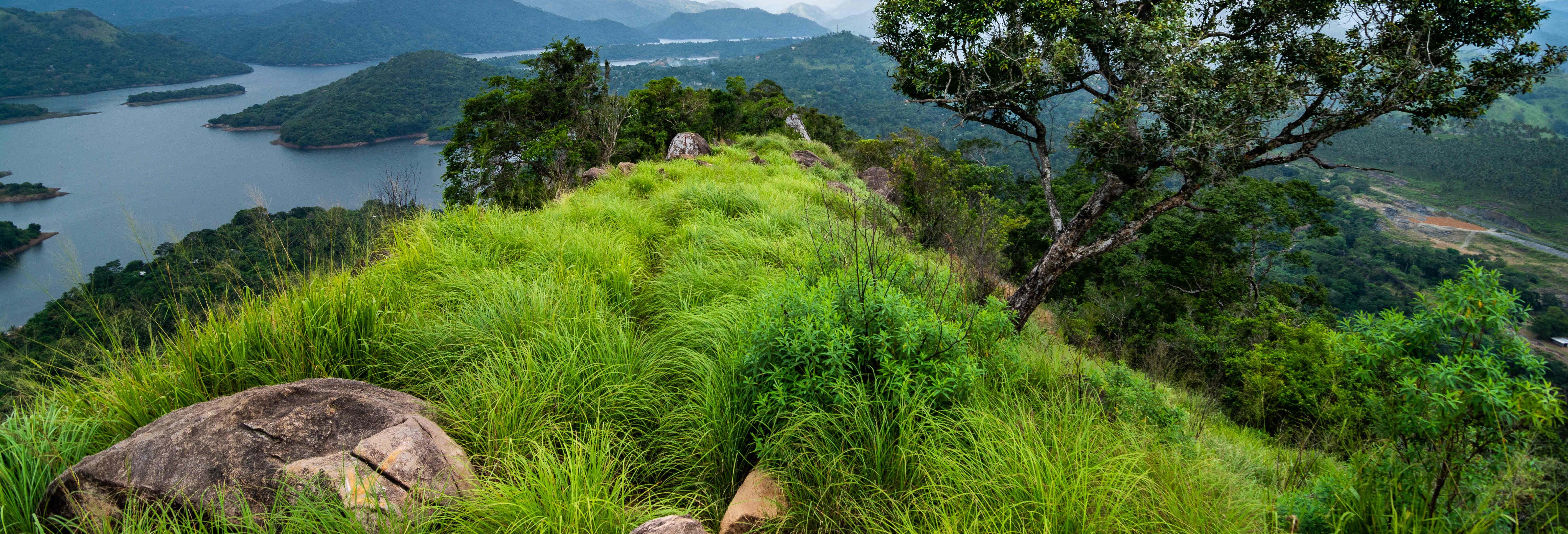 Itinerario privato di trekking nella cordigliera delle Knuckles