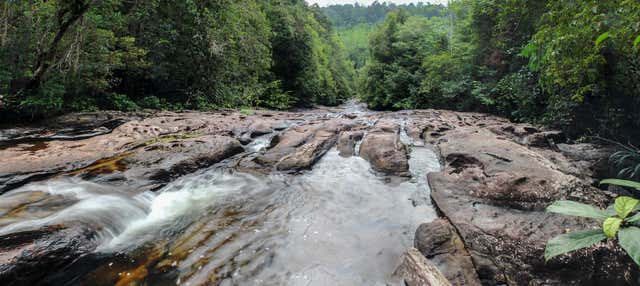 Discesa in corda doppia a Kitulgala