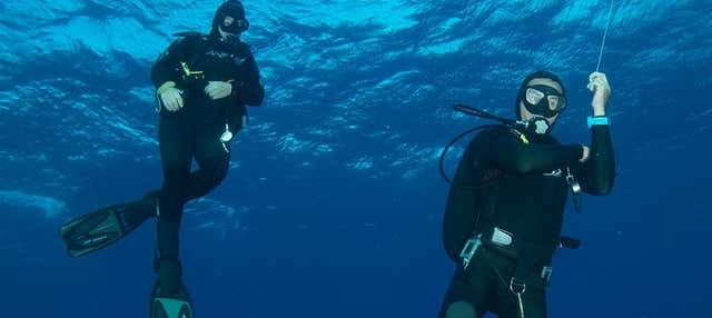 Immersione a Mirissa