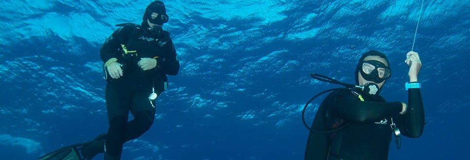 Scuba Diving in Mirissa