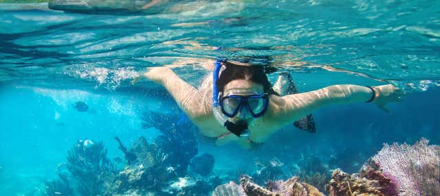 Snorkeling a Mirissa