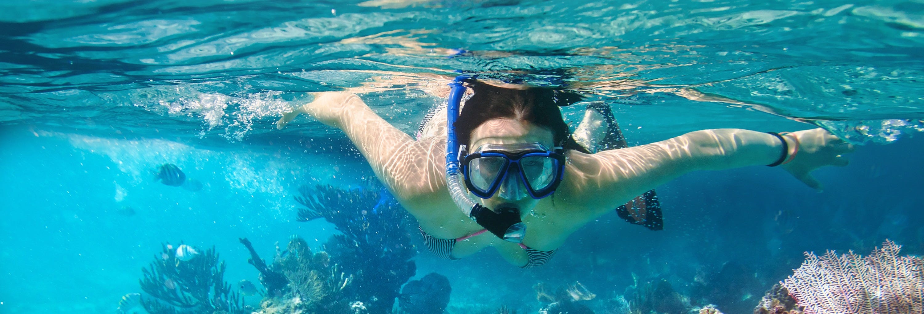 Snorkeling at Mirissa Beach