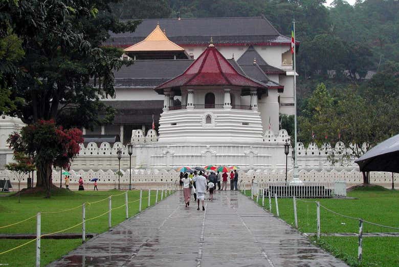 Private Kandy Day Trip
