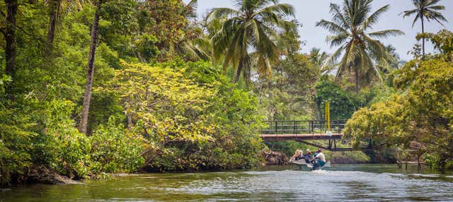 Tour del lago Negombo in kayak