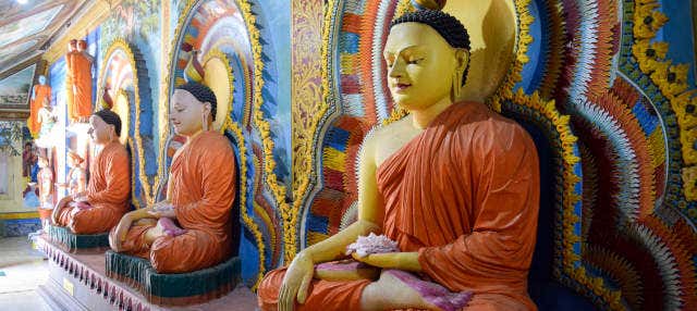 Tour privato di Negombo