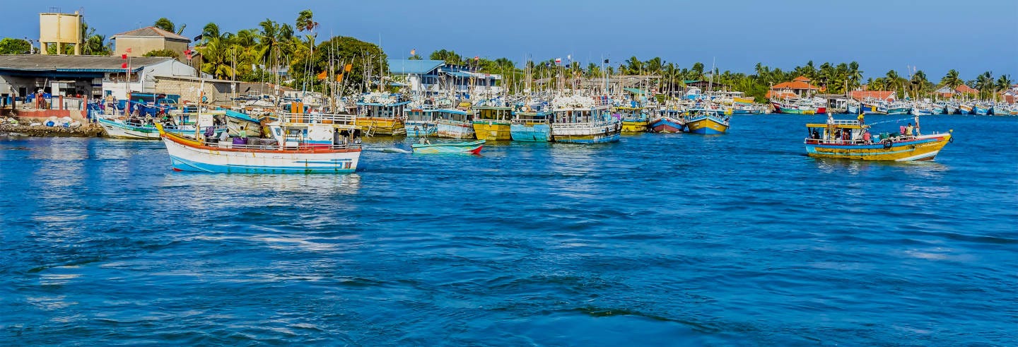 Negombo Tuk Tuk Tour + Boat Trip