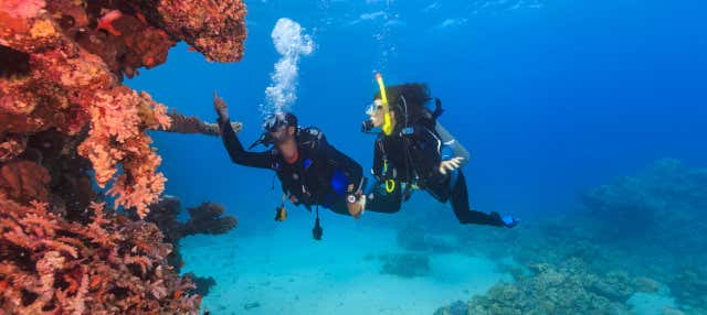 Immersione subacquea a Nilaveli