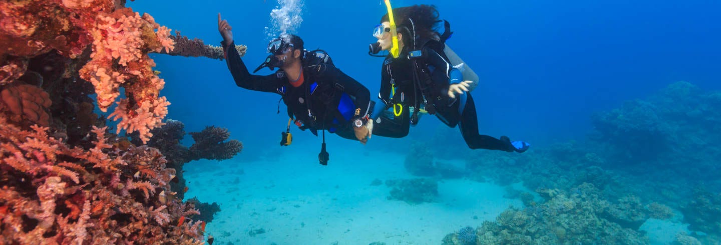 Nilaveli Beginner's Diving