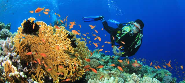 Immersione a Nilaveli