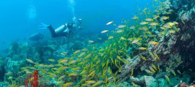 Corso PADI Advanced Open Water Diver