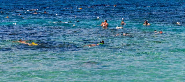 Snorkeling a Pigeon Island