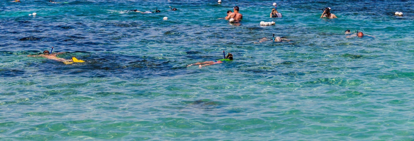 Pigeon Island Snorkelling