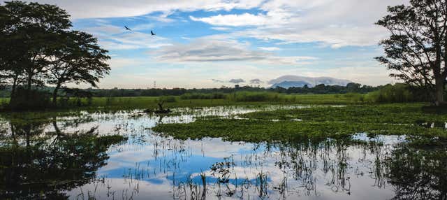 Escursione ad Habarana