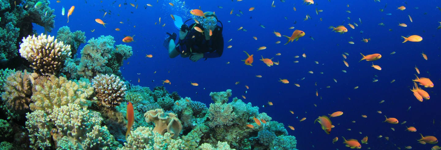 Scuba Diving for Beginners