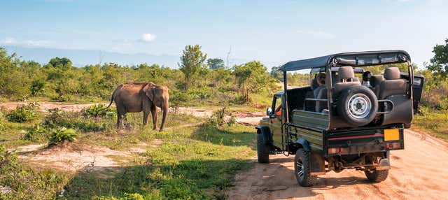 Safari privato nel Parco Nazionale di Udawalawe