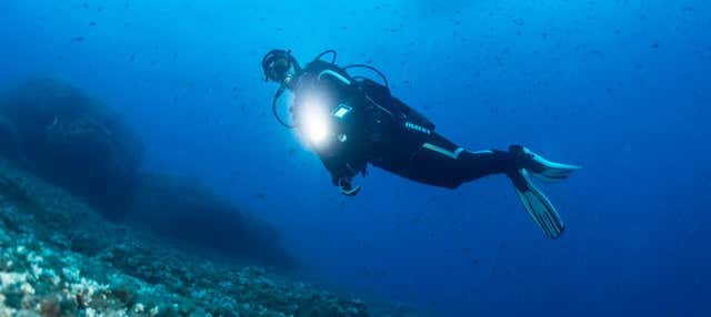 Immersione a Unawatuna