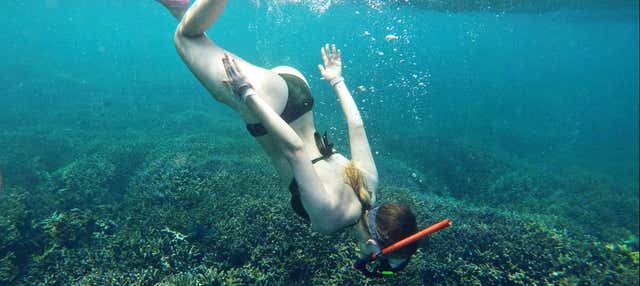 Snorkeling a Unawatuna