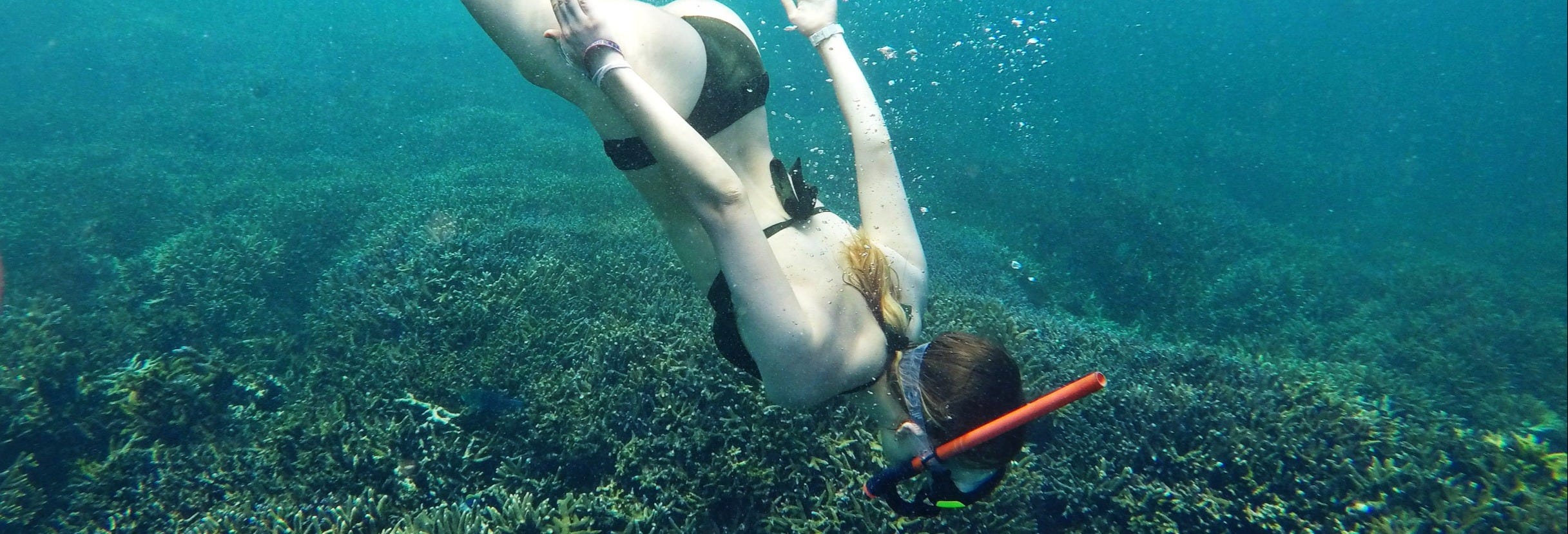 Snorkel in Unawatuna