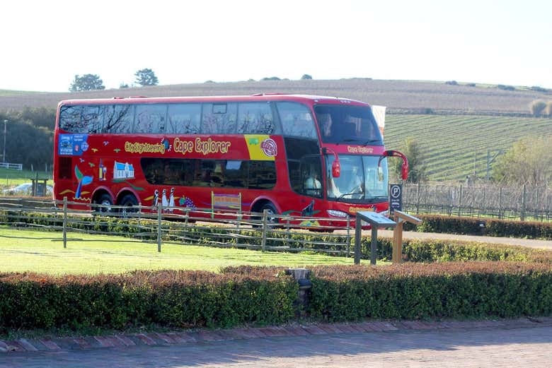 Imagen 4