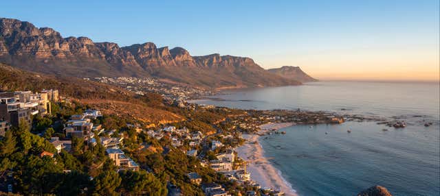 Giro in barca a Table Bay